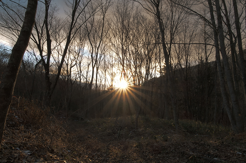 Photo Sample